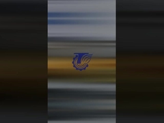 Komatsu PC1250-8 Steuerventil (Teilnummer: 709-15-94000)